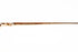 a/n col.gold
